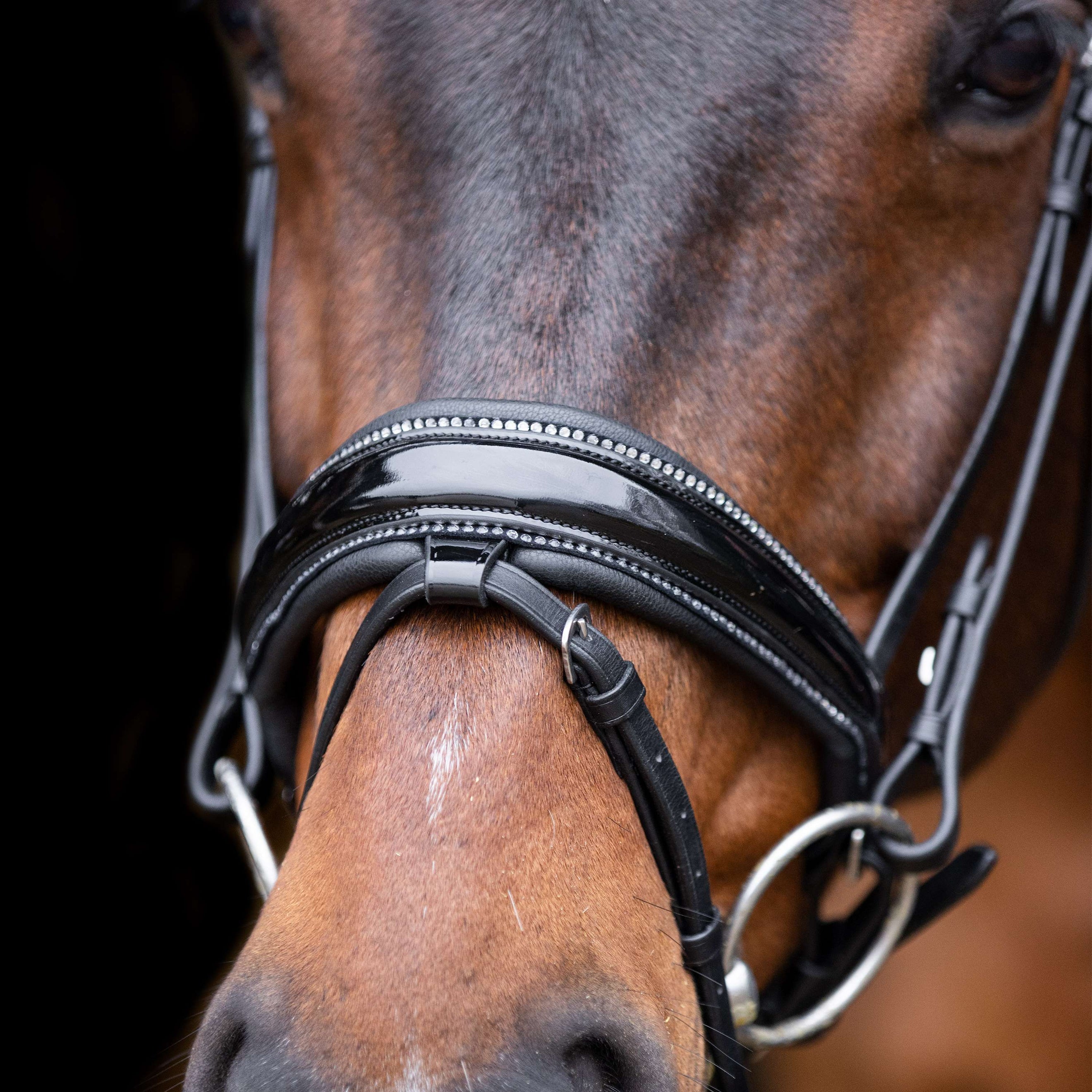 Imperial Riding Hoofdstel IRHOlympia Zwart/Zilver Imperial Riding Hoofdstel IRHOlympia Zwart/Zilver