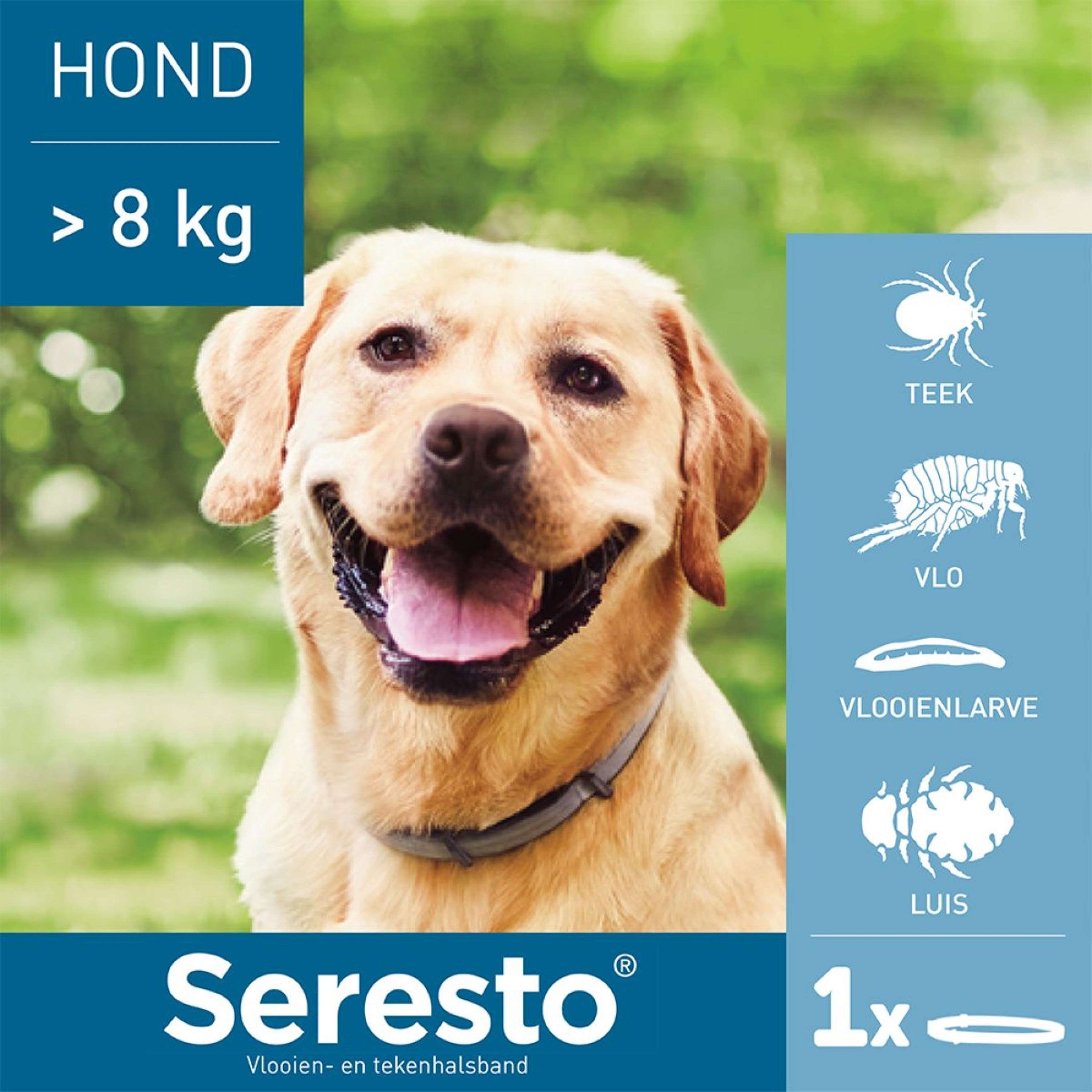 Seresto Teken en Vlooien Halsband Grote Hond Seresto Teken en Vlooien Halsband Grote Hond