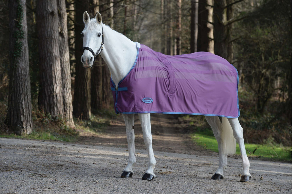 Weatherbeeta Zweetdeken Scrim Standard Neck Violet/Blauw