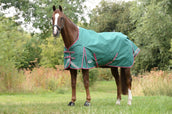 Weatherbeeta Regendeken Comfitec Plus Dynamic II Standard Neck Lite Groen/Grijs/Rood