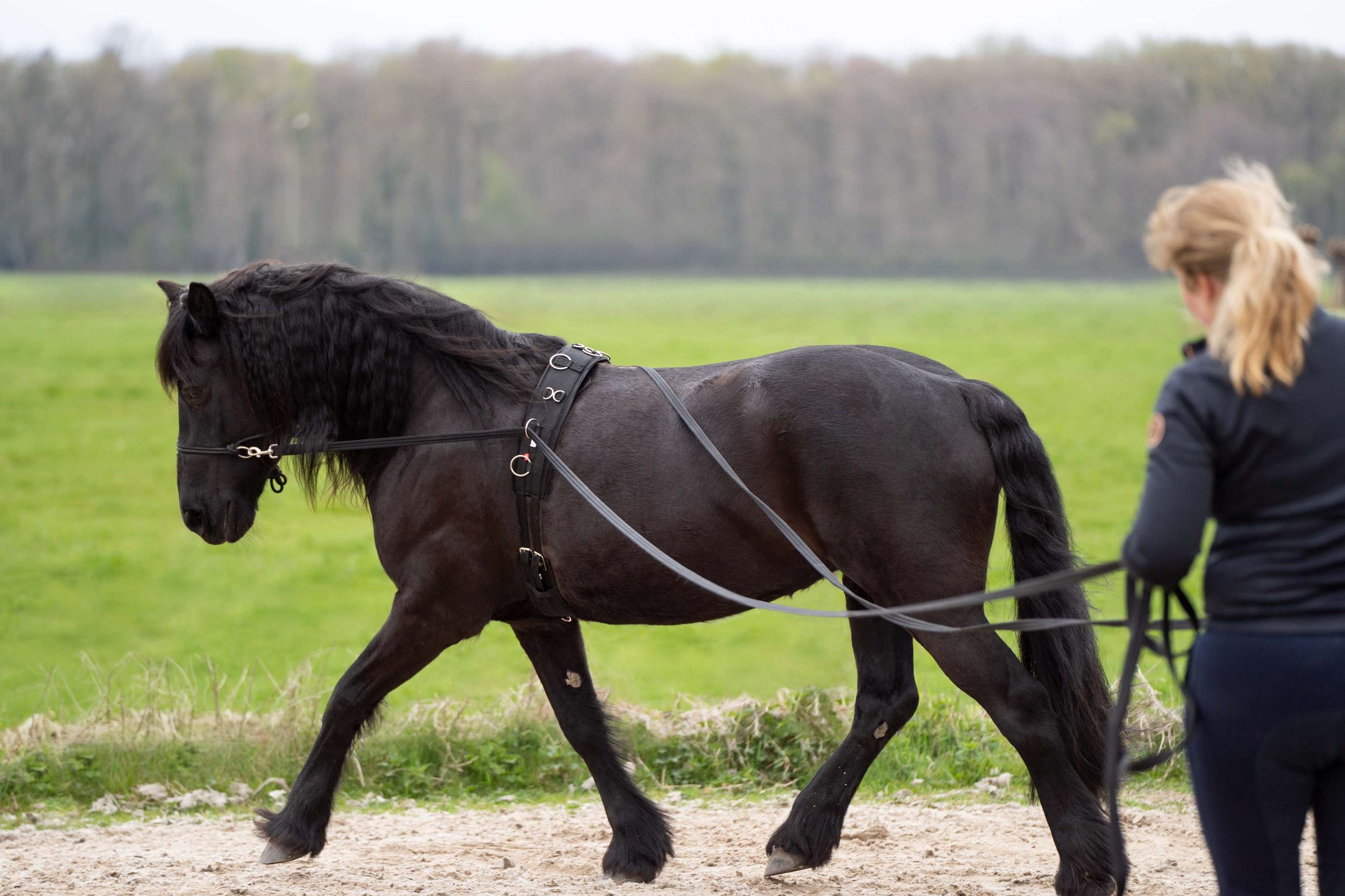 Imperial Riding Lange Lijnen IRHFree Ride Zwart Imperial Riding Lange Lijnen IRHFree Ride Zwart