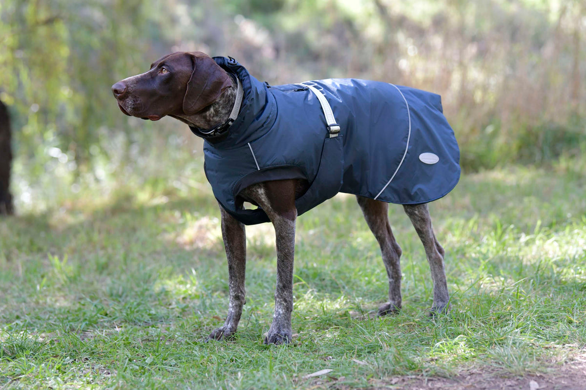 Weatherbeeta Hondendeken Explorer Medium Navy