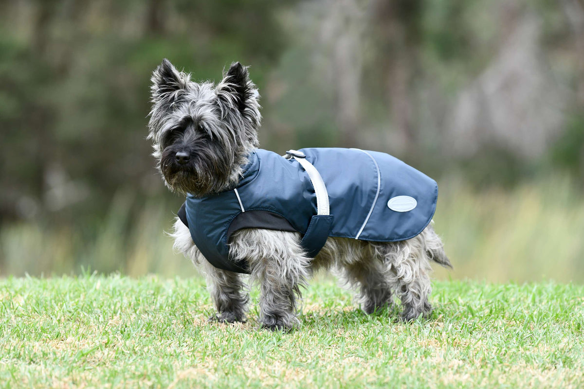 Weatherbeeta Hondendeken Explorer Medium Navy