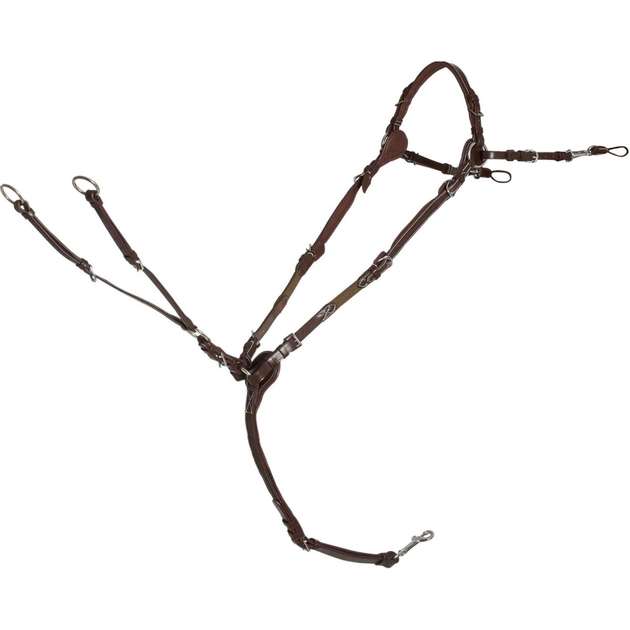 Schockemöhle Voortuig Sevilla Select Royal/Oak/Cream/Zilver Schockemöhle Voortuig Sevilla Select Royal/Oak/Cream/Zilver