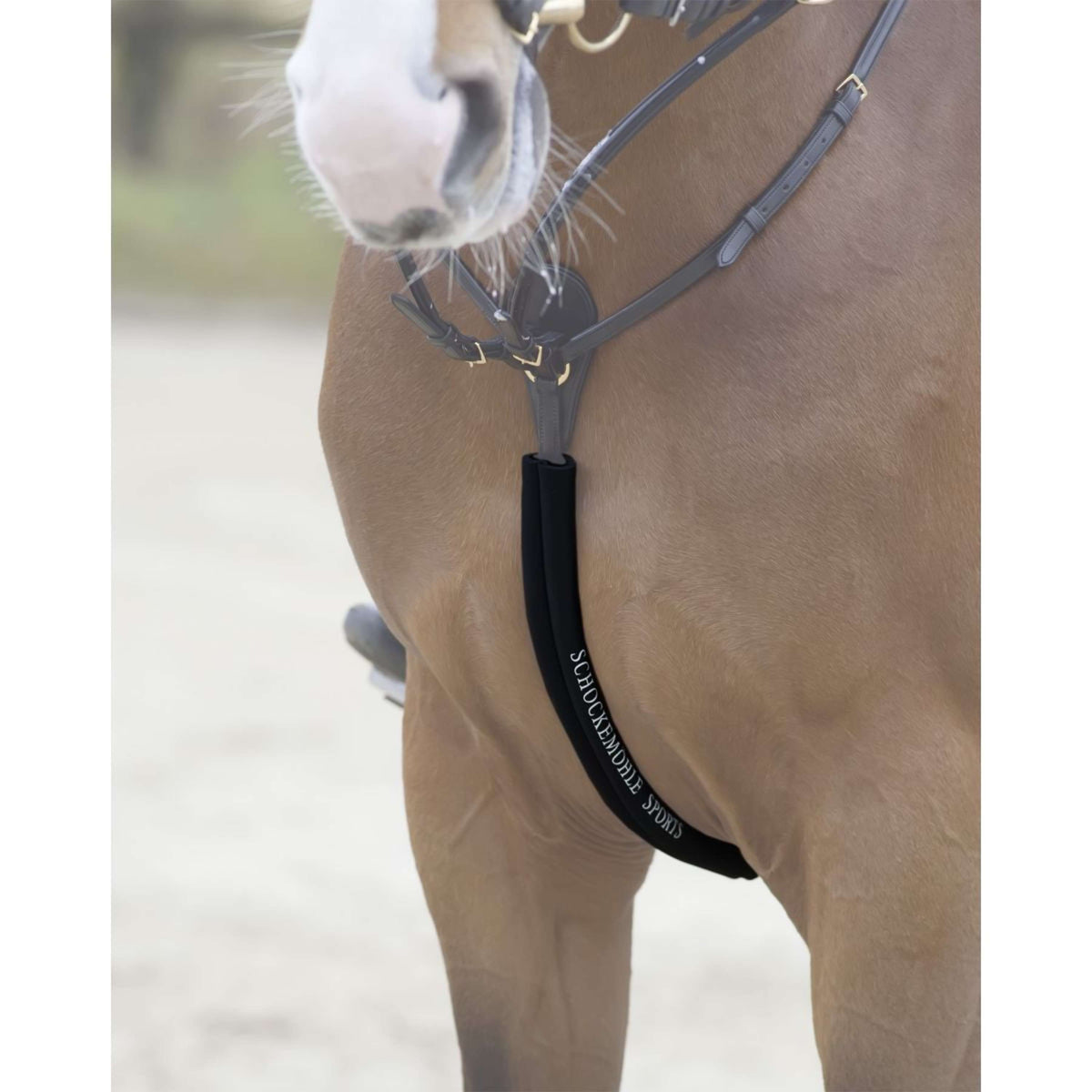 Schockemöhle Voortuig Beschermer Zwart