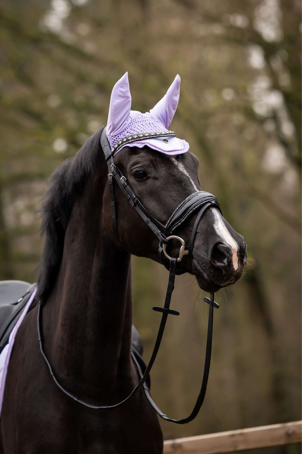 HB Showtime Oornetje Spring Lichtpaars