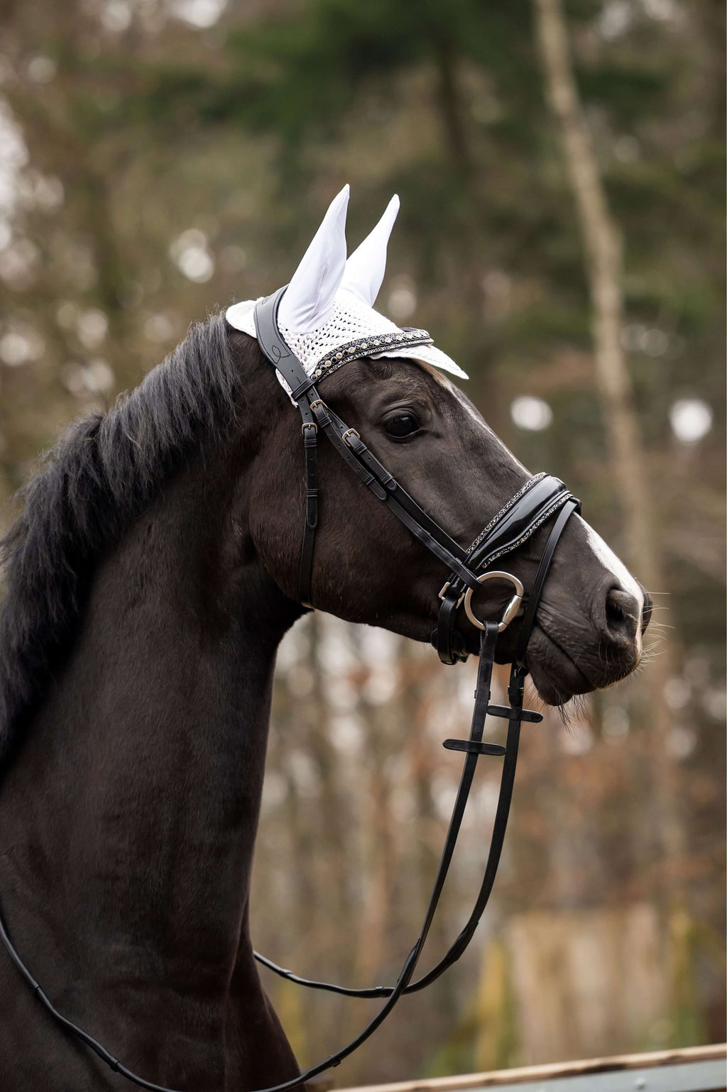 HB Showtime Oornetje Spring Zilver