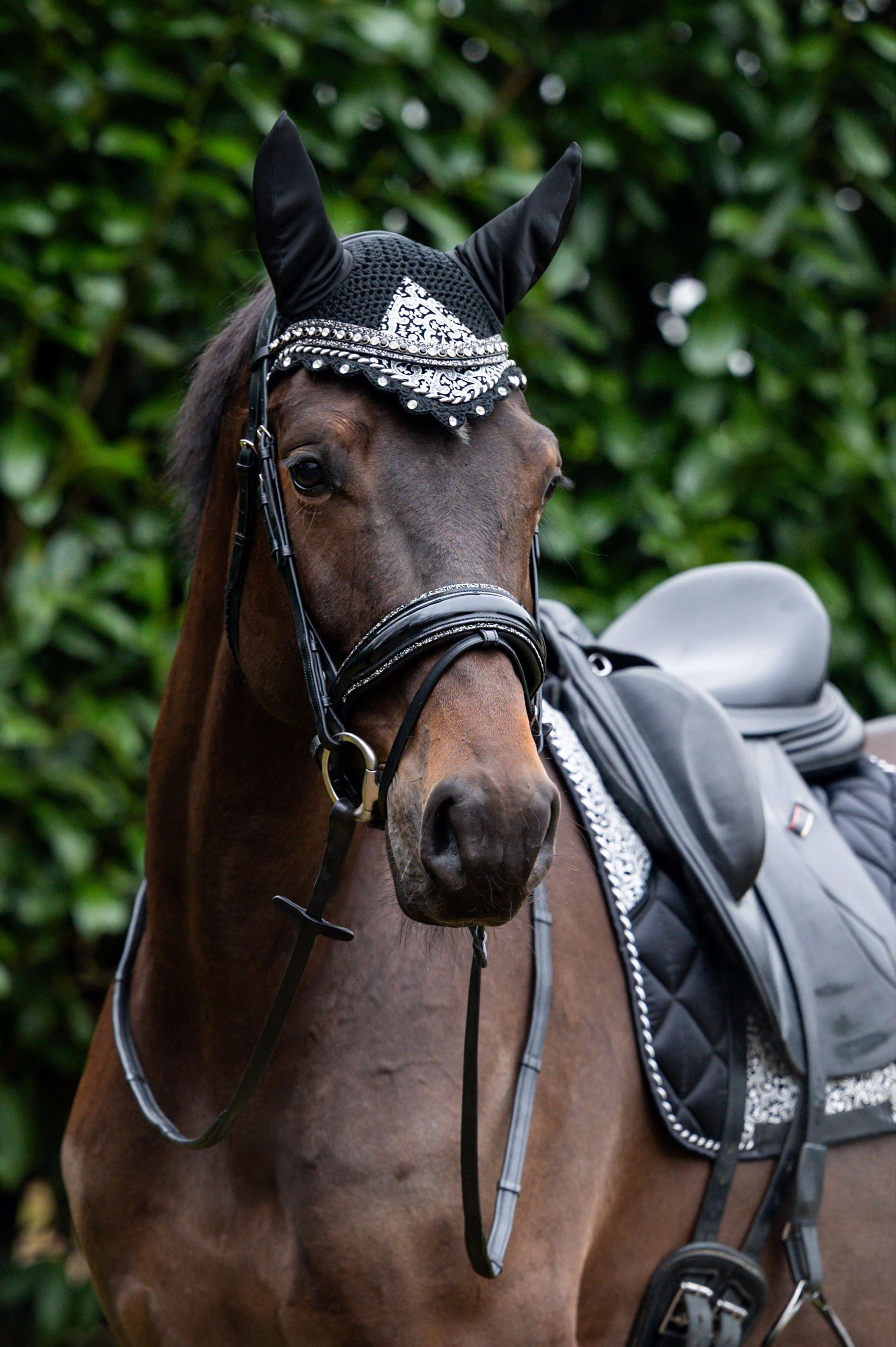 HB Showtime Oornetje Rio Zwart