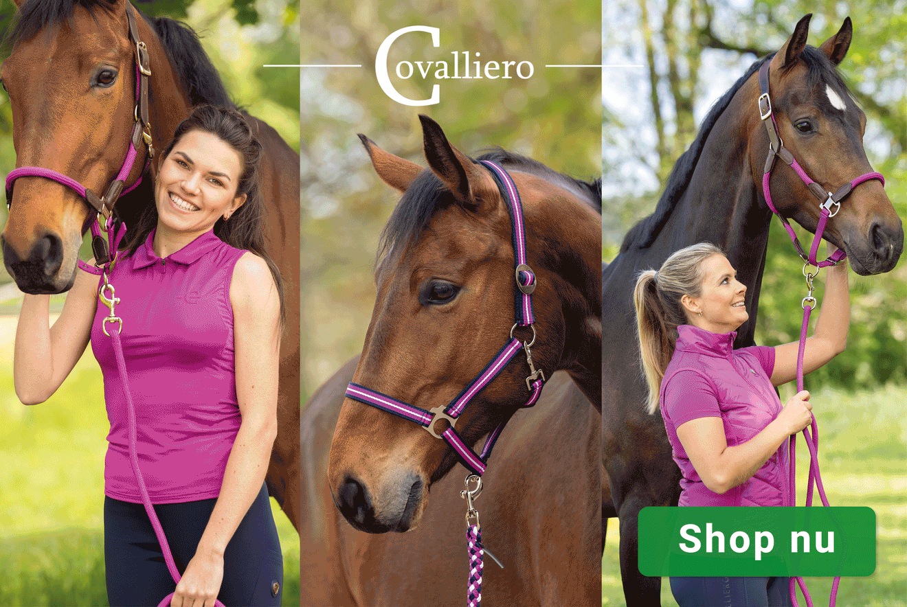 Productcelbanner Covalliero