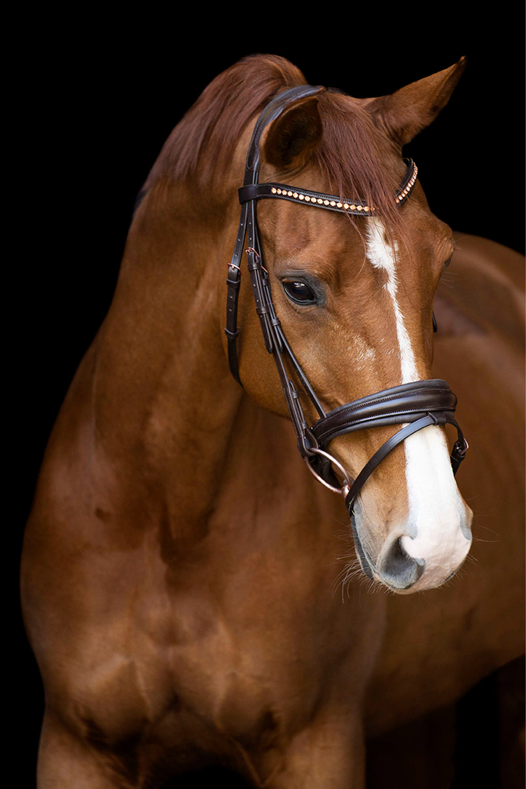 Imperial Riding Hoofdstel IRHFria Trens Bruin
