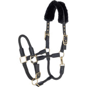 Covalliero Halster Anniversary Graphite