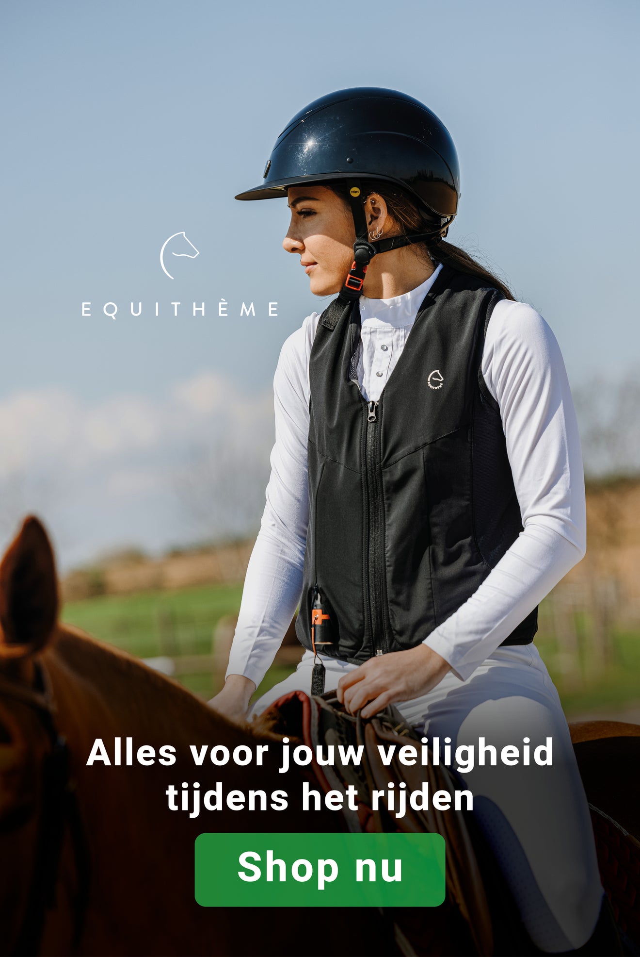 Veiligheid Equitheme