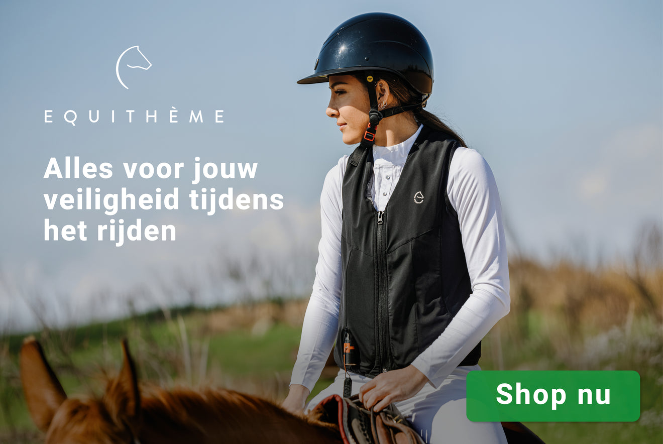Veiligheid Equitheme