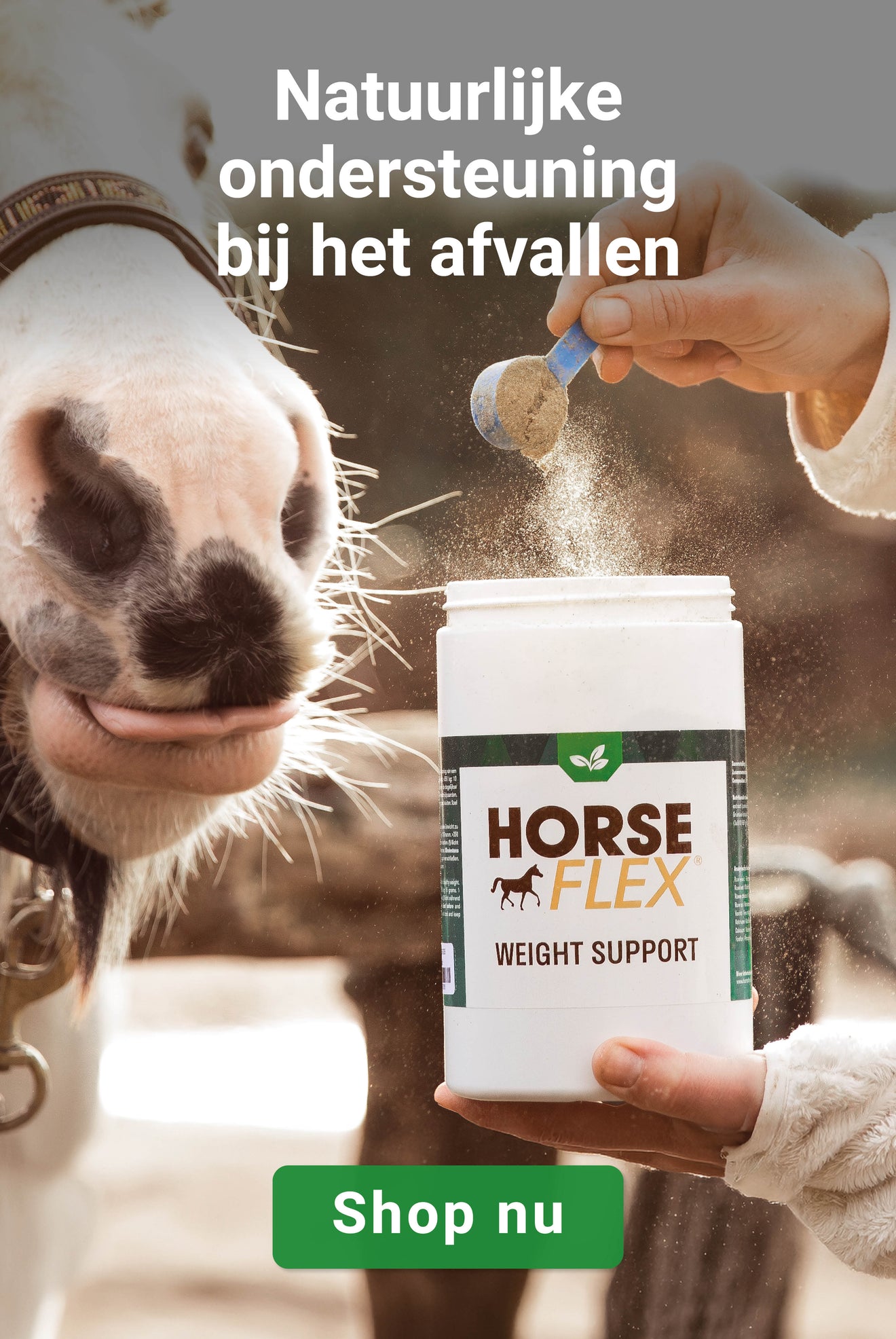 Weight support HorseFlex