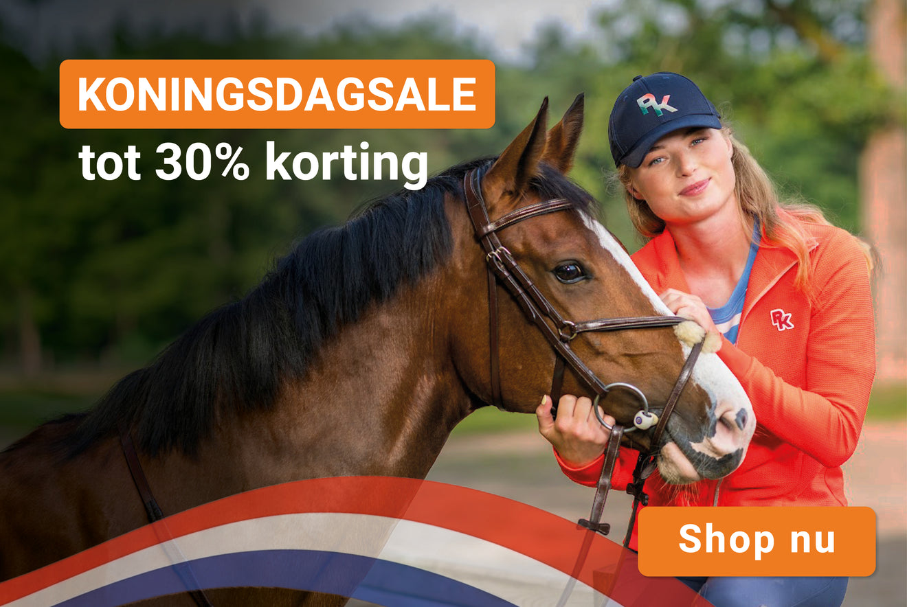 Koningsdagsale Koningsdagsale