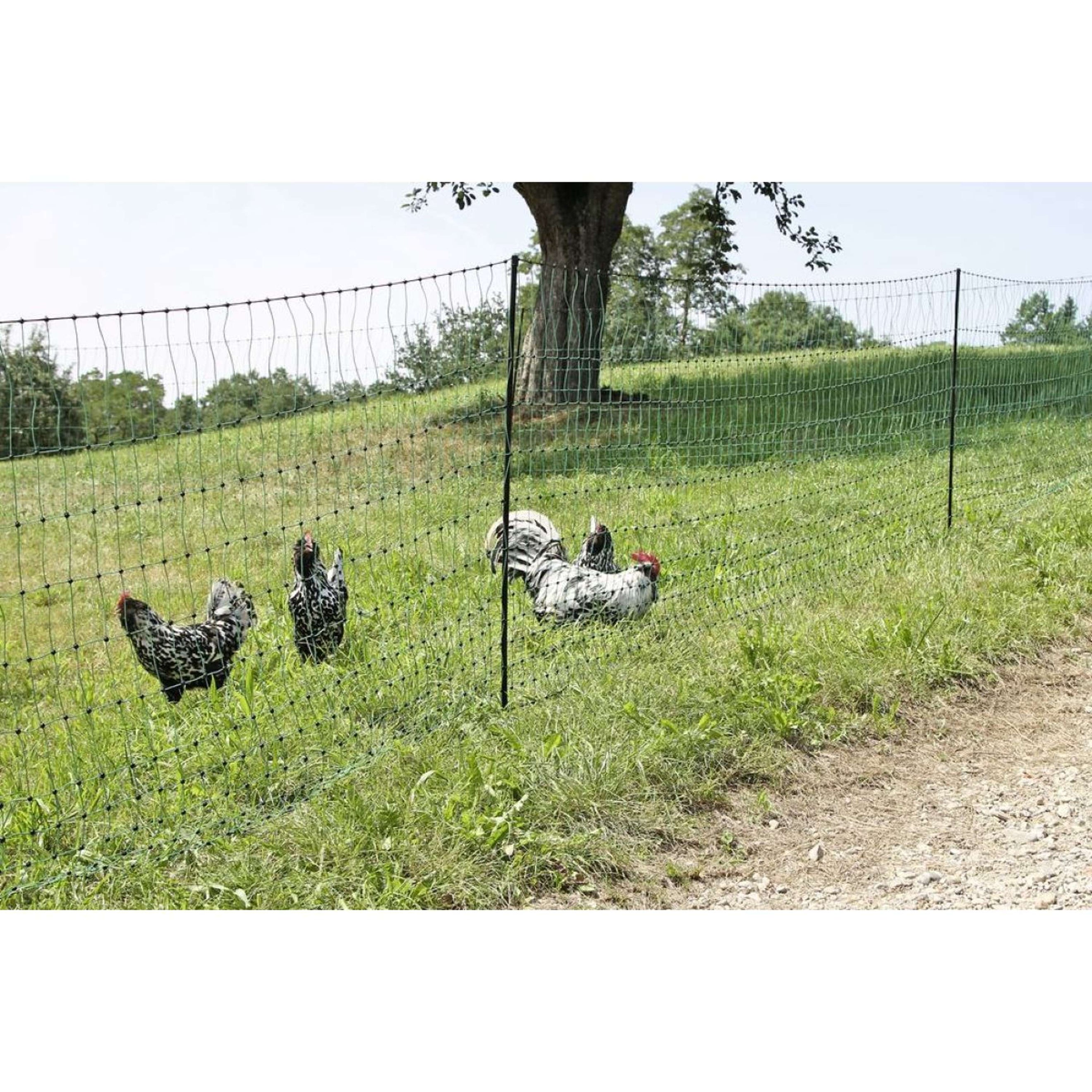 Kerbl Pluimveenet Dubbel Pen Geleidend Groen Kerbl Pluimveenet Dubbel Pen Geleidend Groen