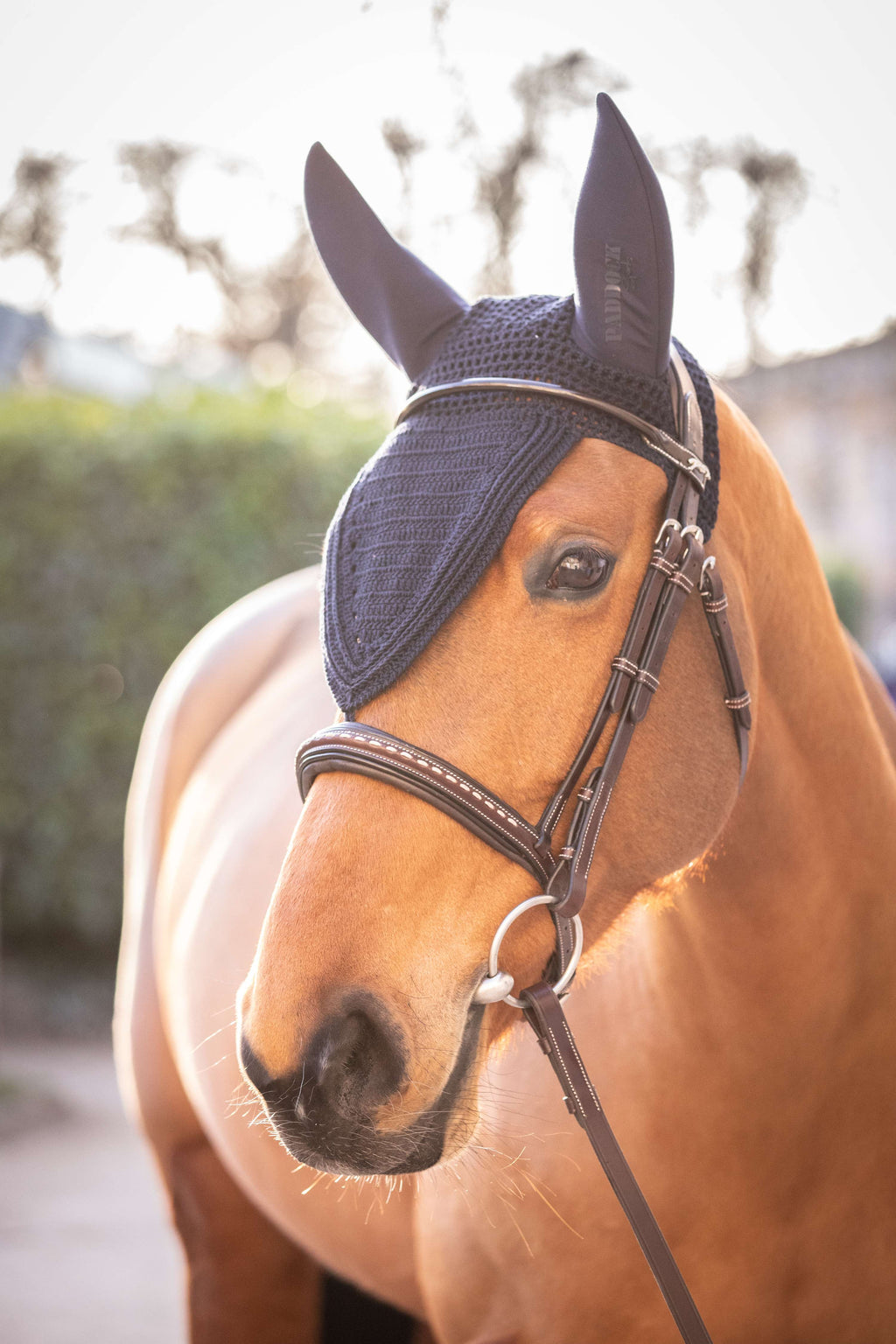 Paddock Oornetje Long Soundless Navy