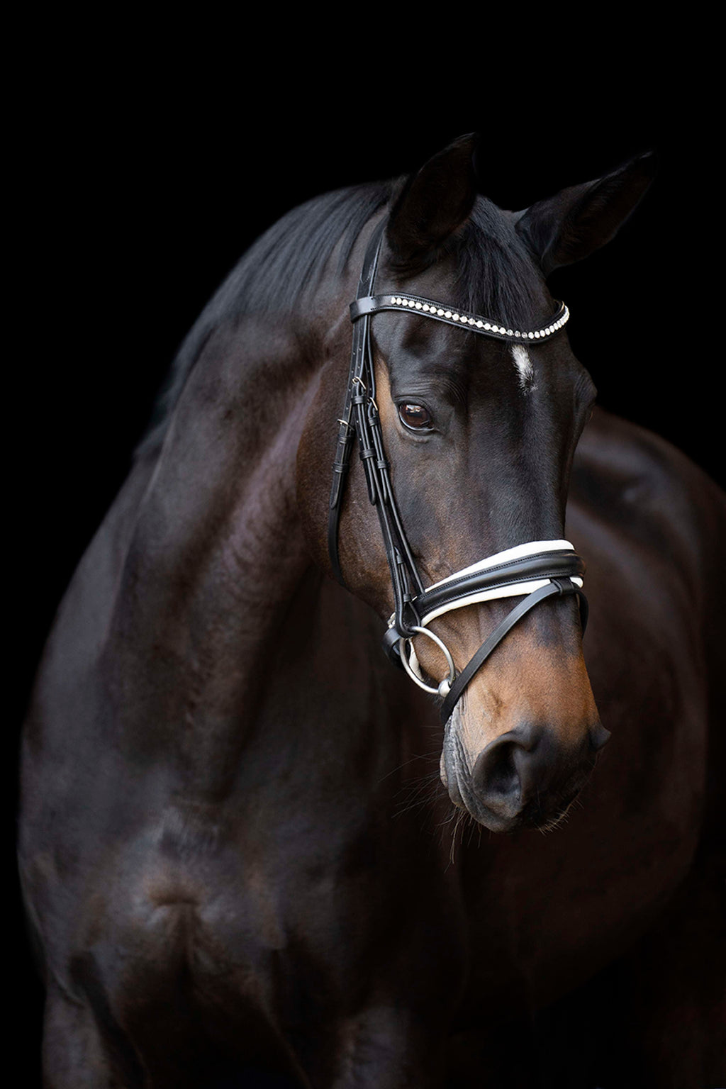 Imperial Riding Hoofdstel IRHFria Trens Zwart/Wit