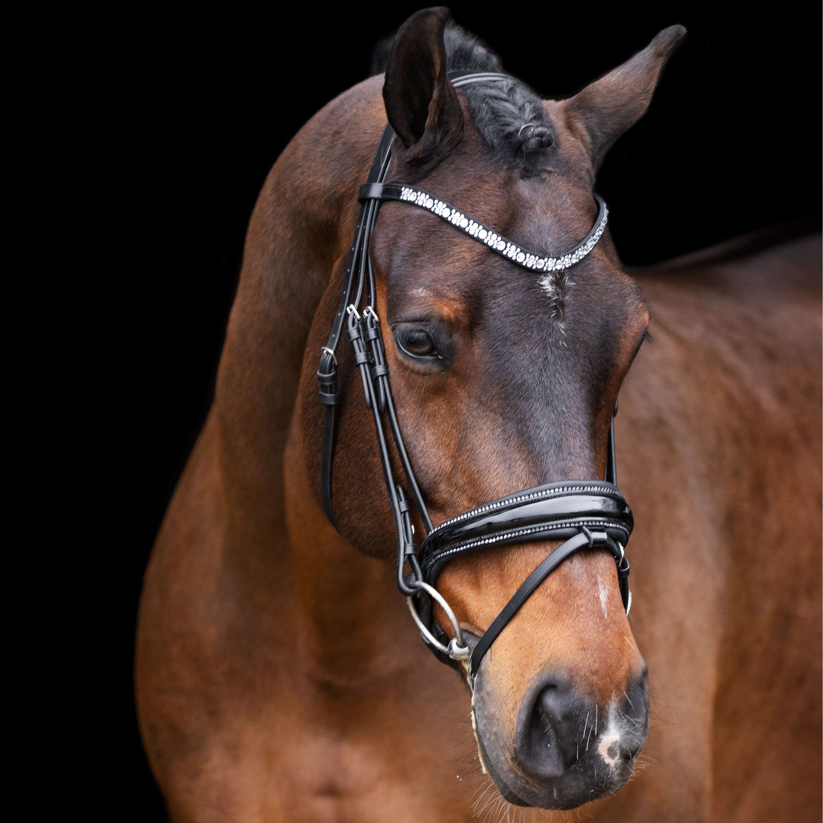 Imperial Riding Hoofdstel IRHOlympia Zwart/Zilver