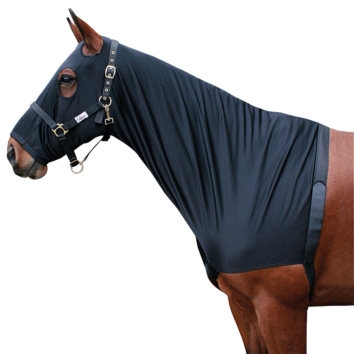 Harry's Horse Lycra Borstbeschermer Met Hoofdkap Zwart