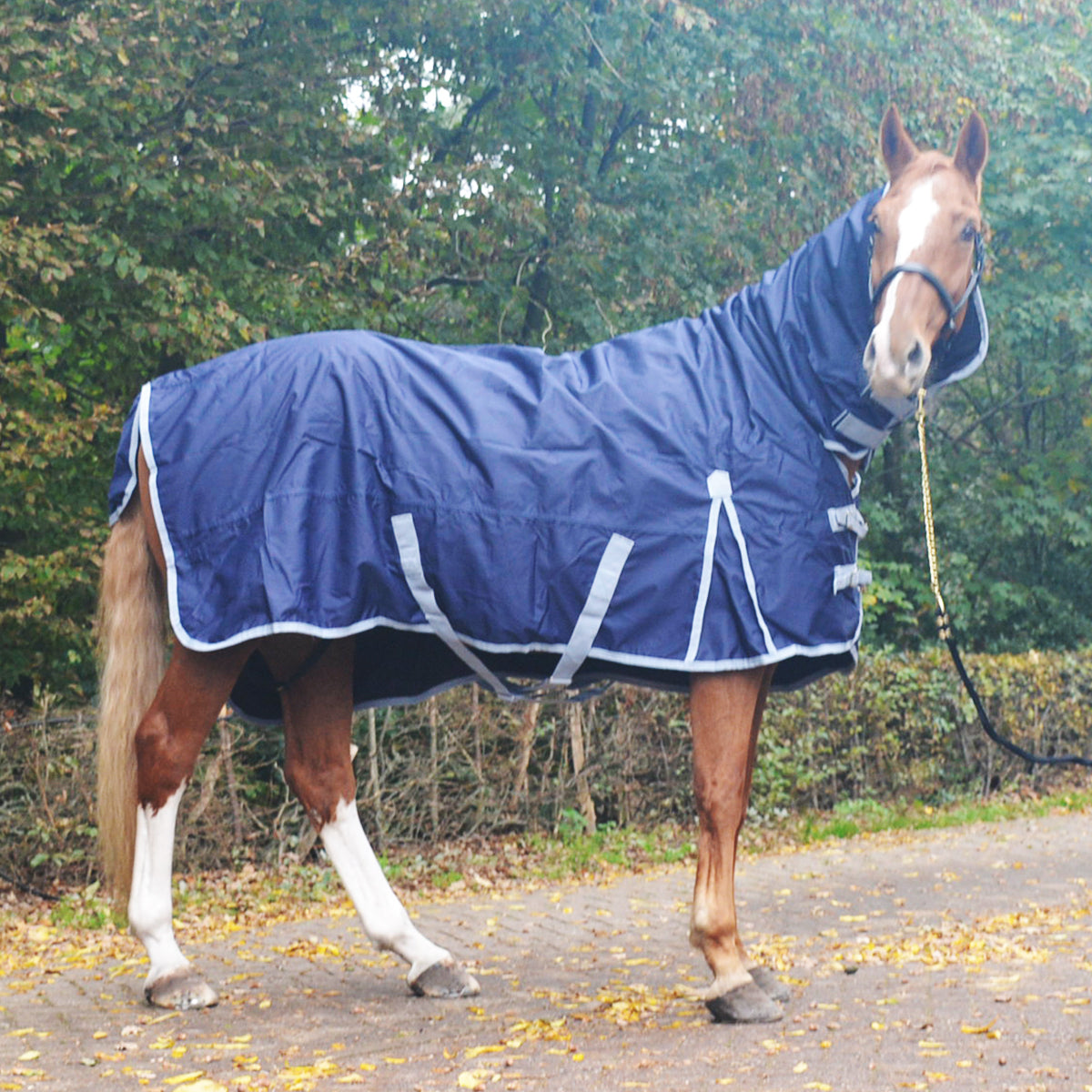 Premiere Regendeken All Year 600D 0g Fleece met Hals Dress Blue