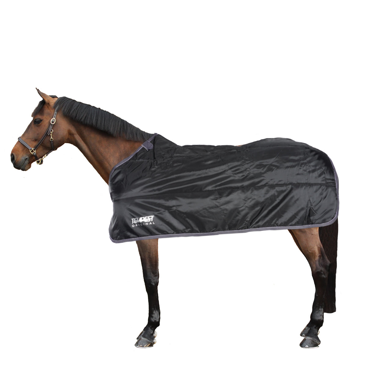 Shires Onderdeken Warma Thermal System 200g Black