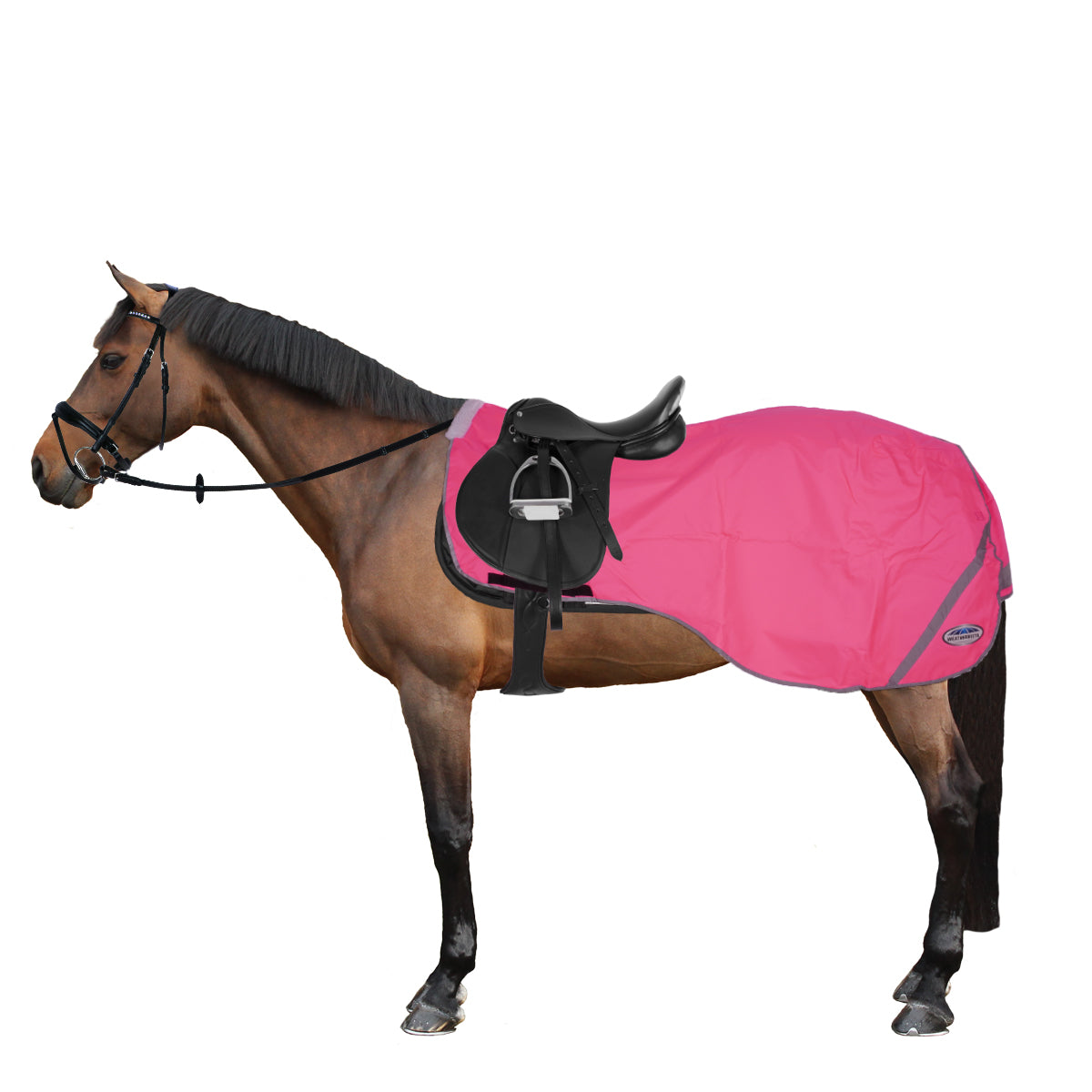 Weatherbeeta Exercise Sheet 300D Reflective Pink