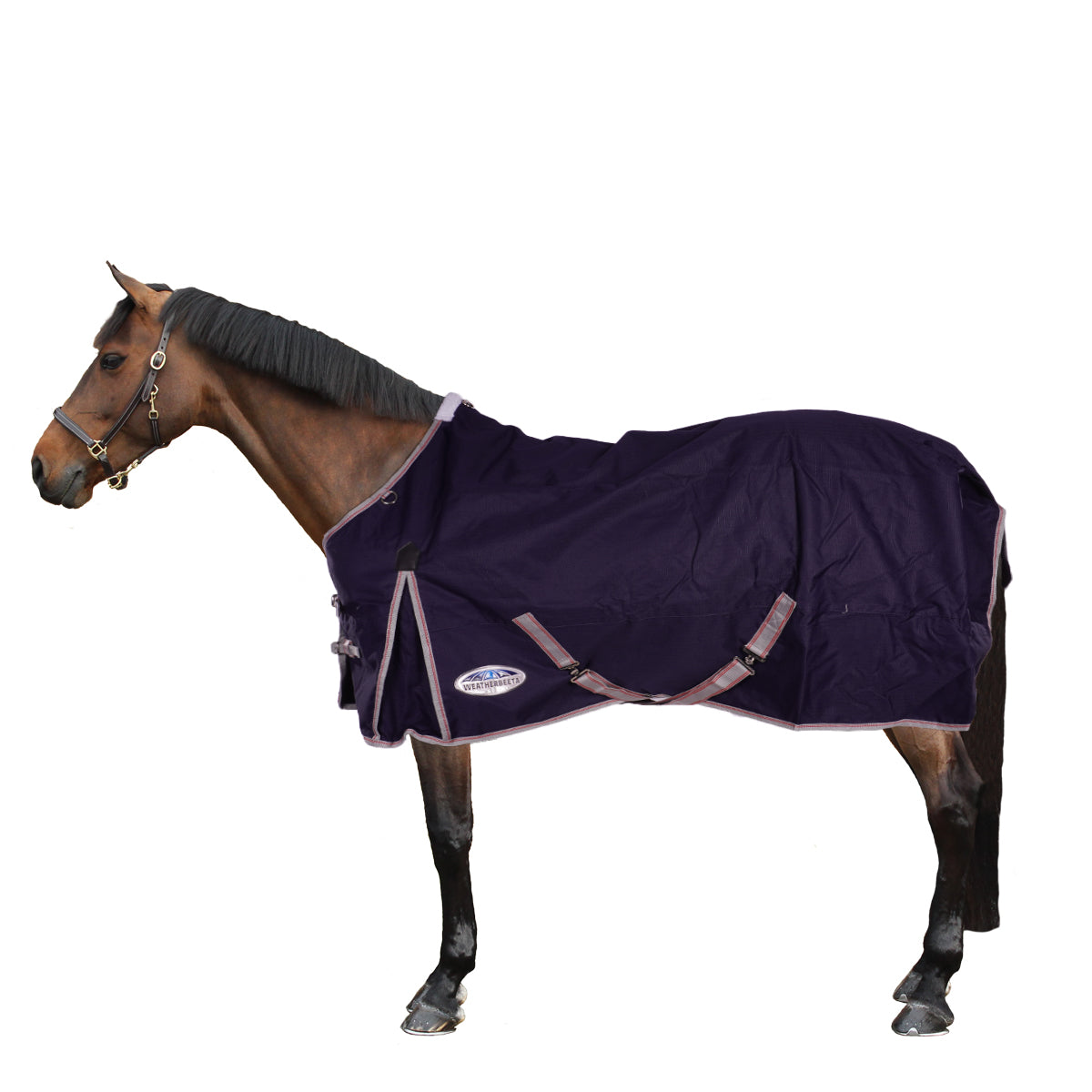 Weatherbeeta Lite Turnout Rug Comfitec Essential Standard Neck 0g Navy/Silver/Red