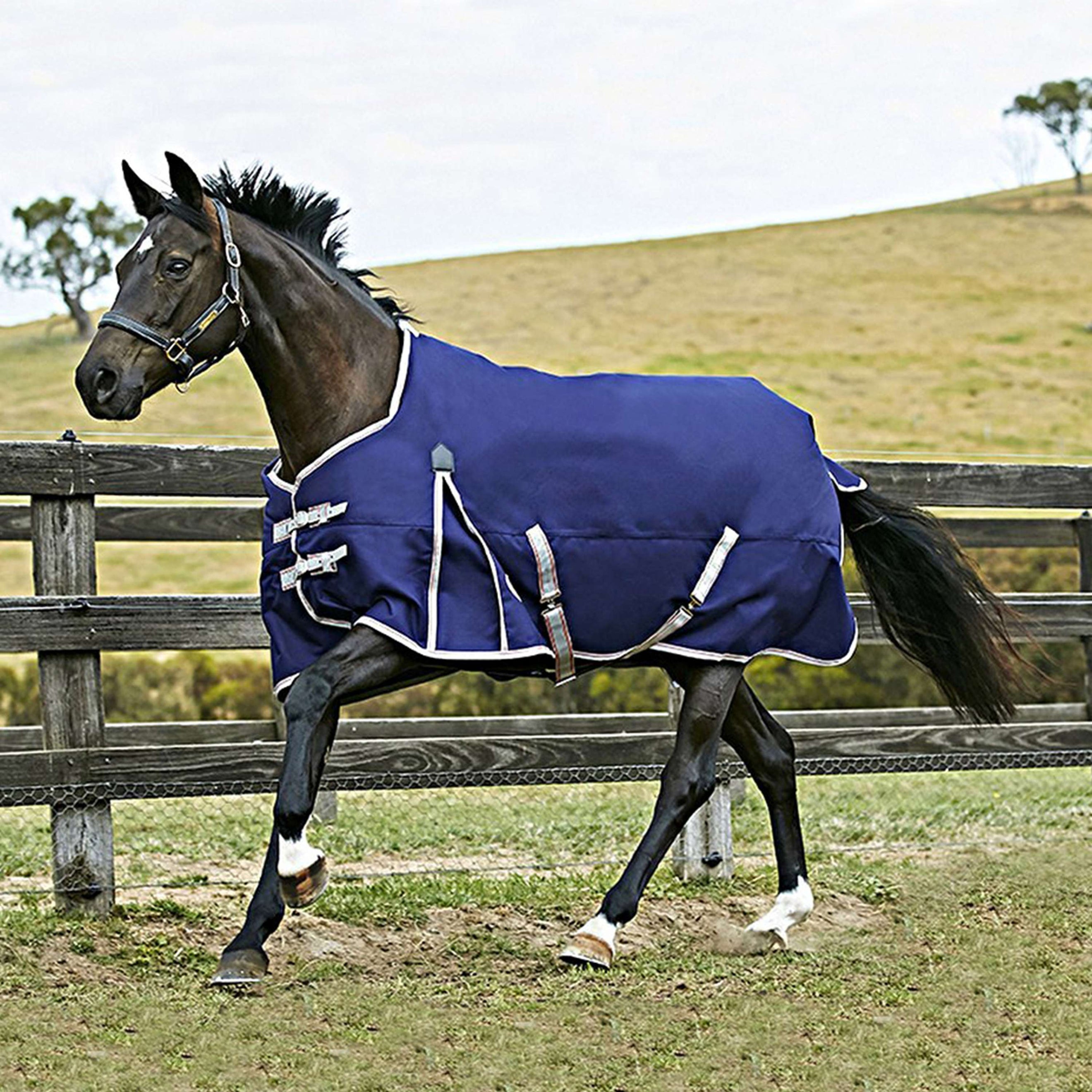 Weatherbeeta Lite Plus Turnout Rug Comfitec Essential Plus Standard Neck 50g Navy/Silver/Red