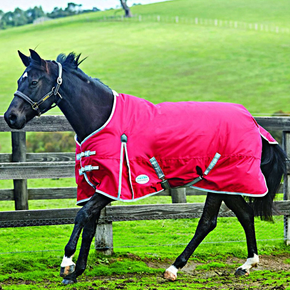 Weatherbeeta Medium Turnout Rug Comfitec Classic Standard Neck 220g Red/Silver/Navy