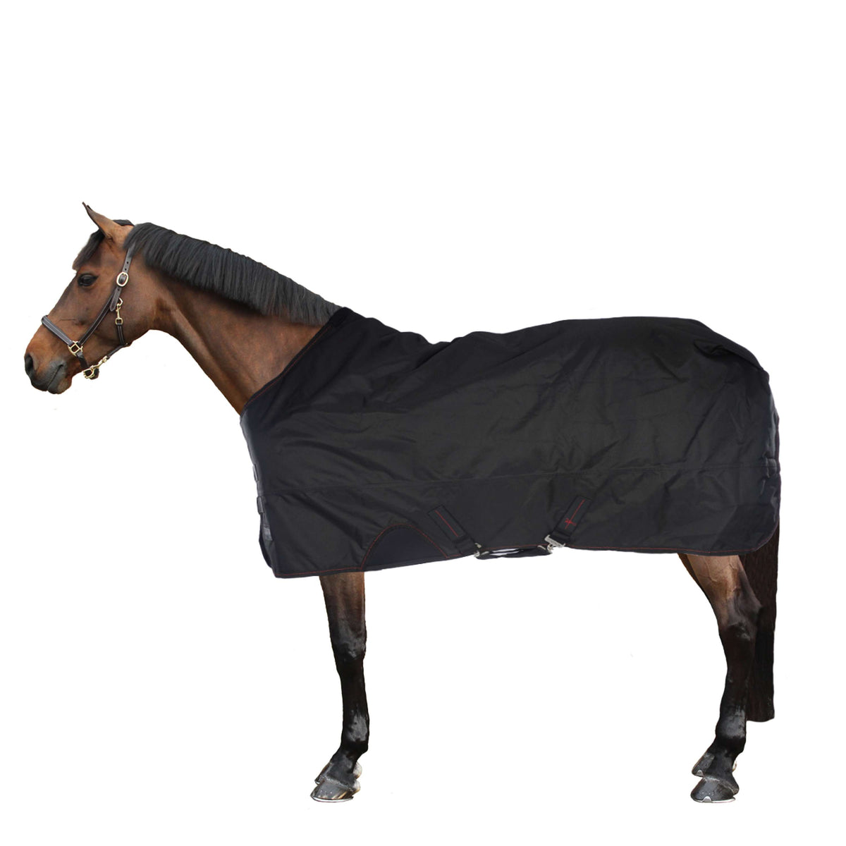 Eskadron Turnout Rug Gamma 840D 150g Zwart