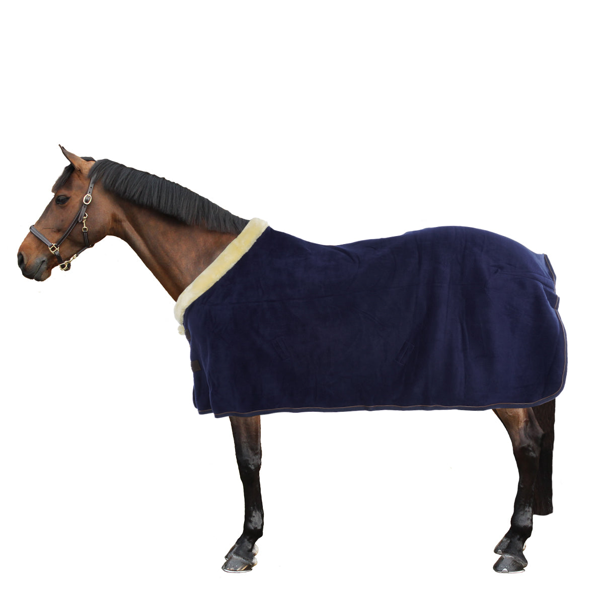 Kentucky Zweetdeken Show Fleece Heavy Navy