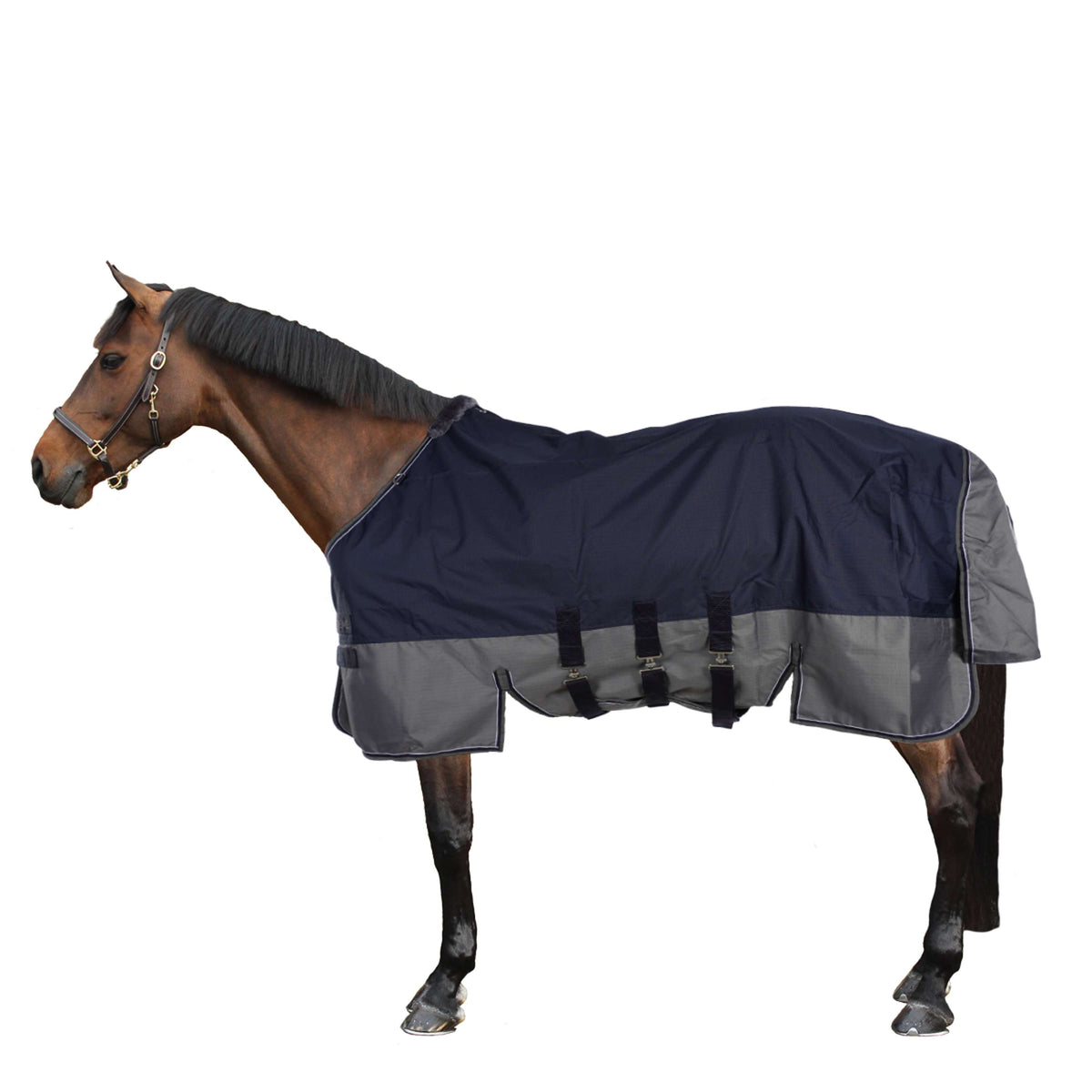 EQUITHÈME Turnout Rug Tyrex met Buikflap 600D 300g Navy/Grijs Dots