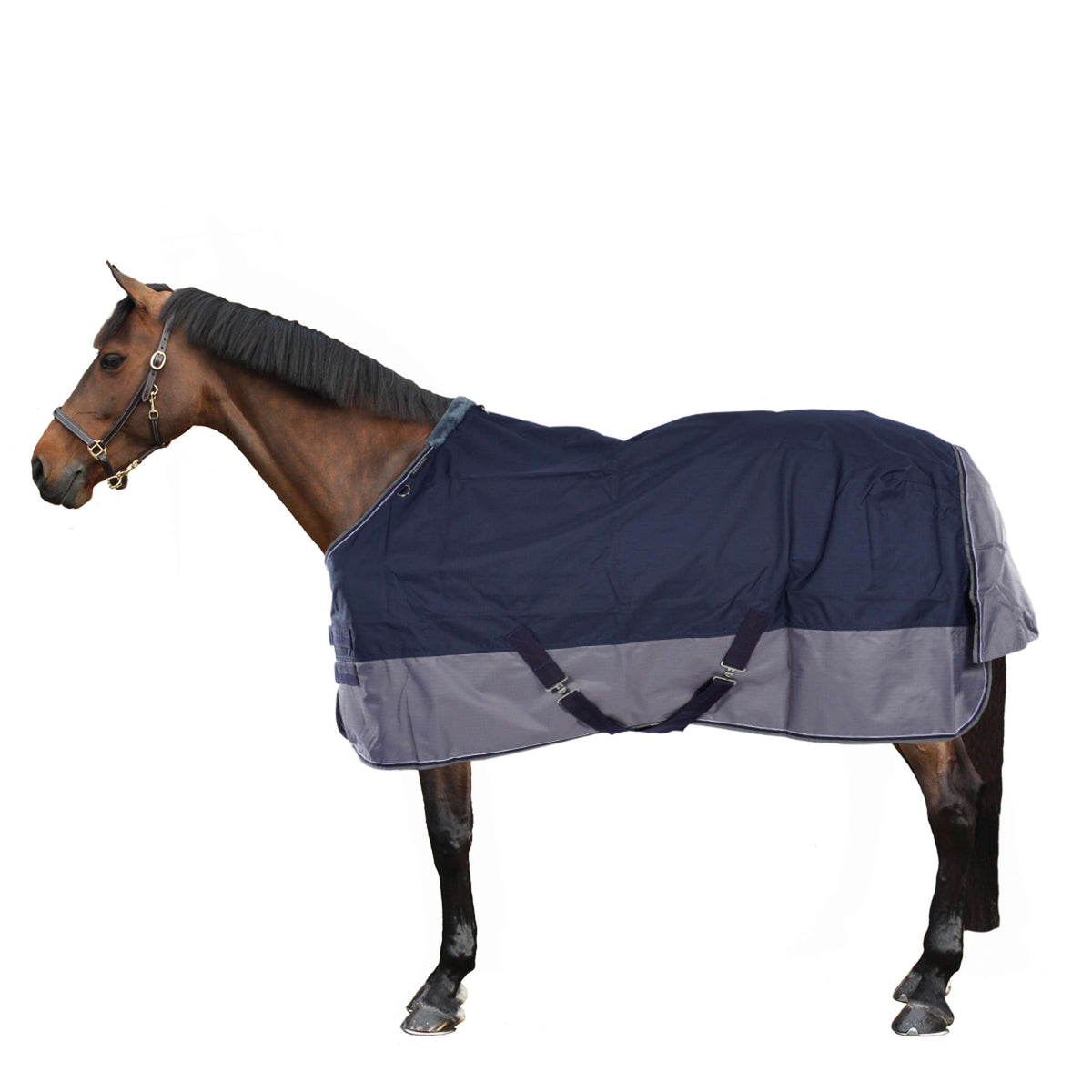 EQUITHÈME Turnout Rug Tyrex 600D 150g Navy/Grijs Dots