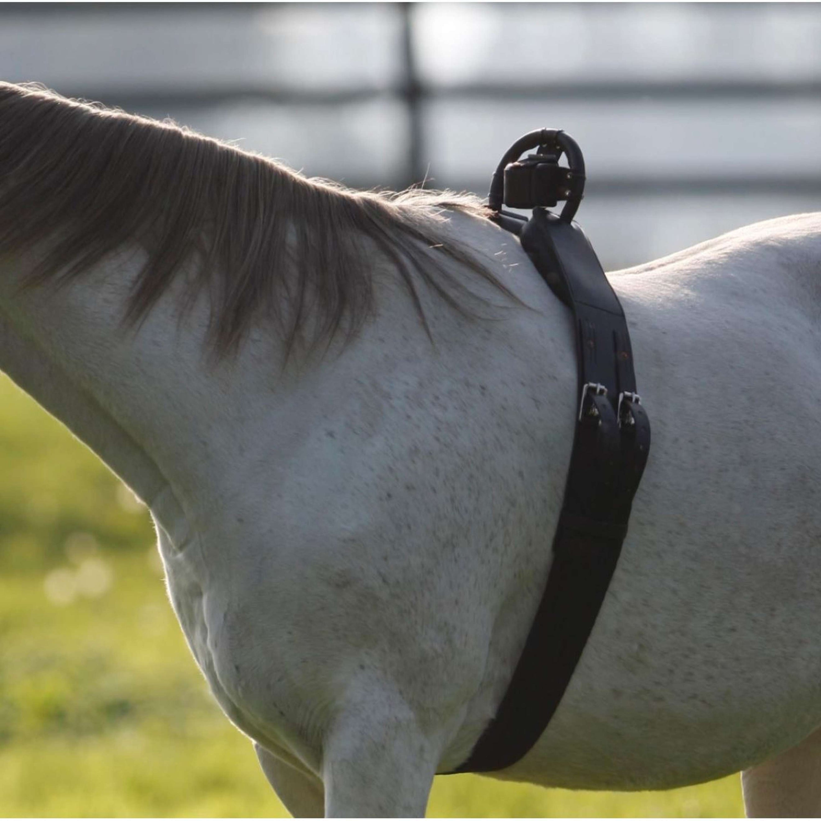 Birth Alarm Anti-Rolsingel Compleet Birth Alarm Anti-Rolsingel Compleet