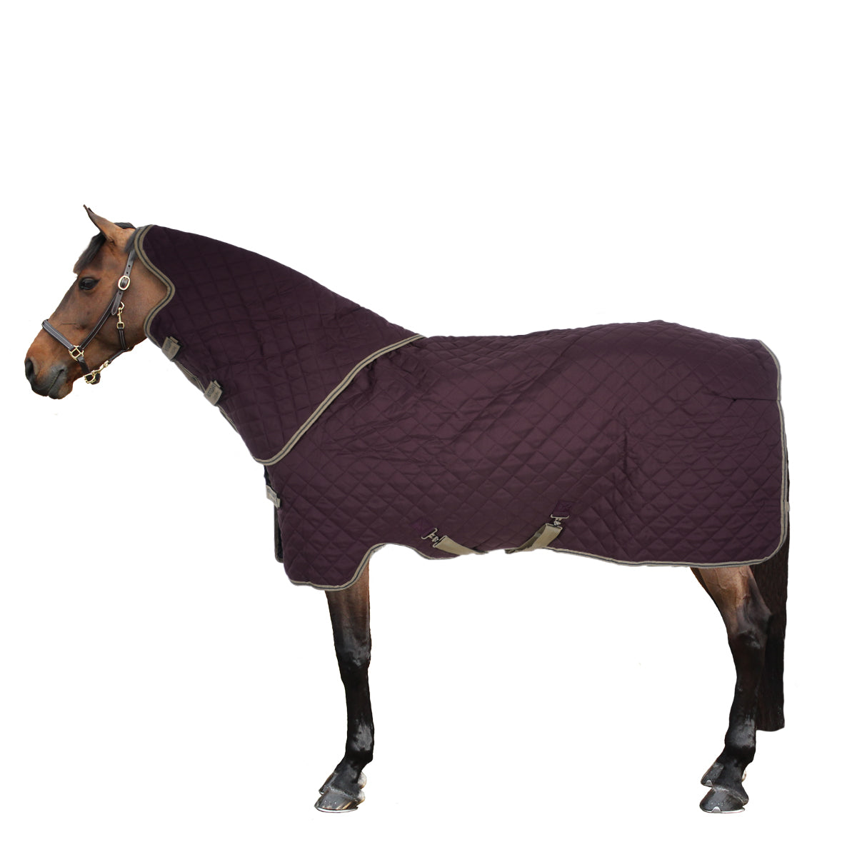 Amigo Stable Plus Medium Navy/Tan