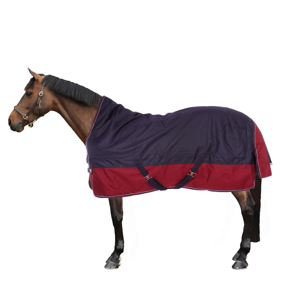 EQUITHÈME Outdoordeken Tyrex 1200D 0g met Halve Hals Navy/Bordeaux