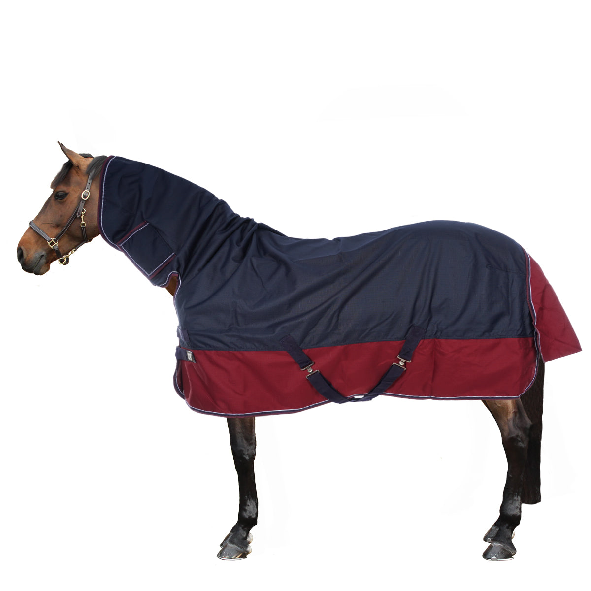 EQUITHÈME Outdoordeken Tyrex 1200D 350g met Hals Navy/Bordeaux