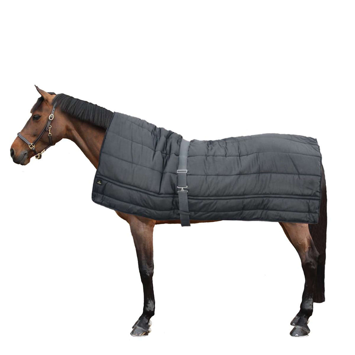 Kentucky Deken Horse Duvet 300g Zwart