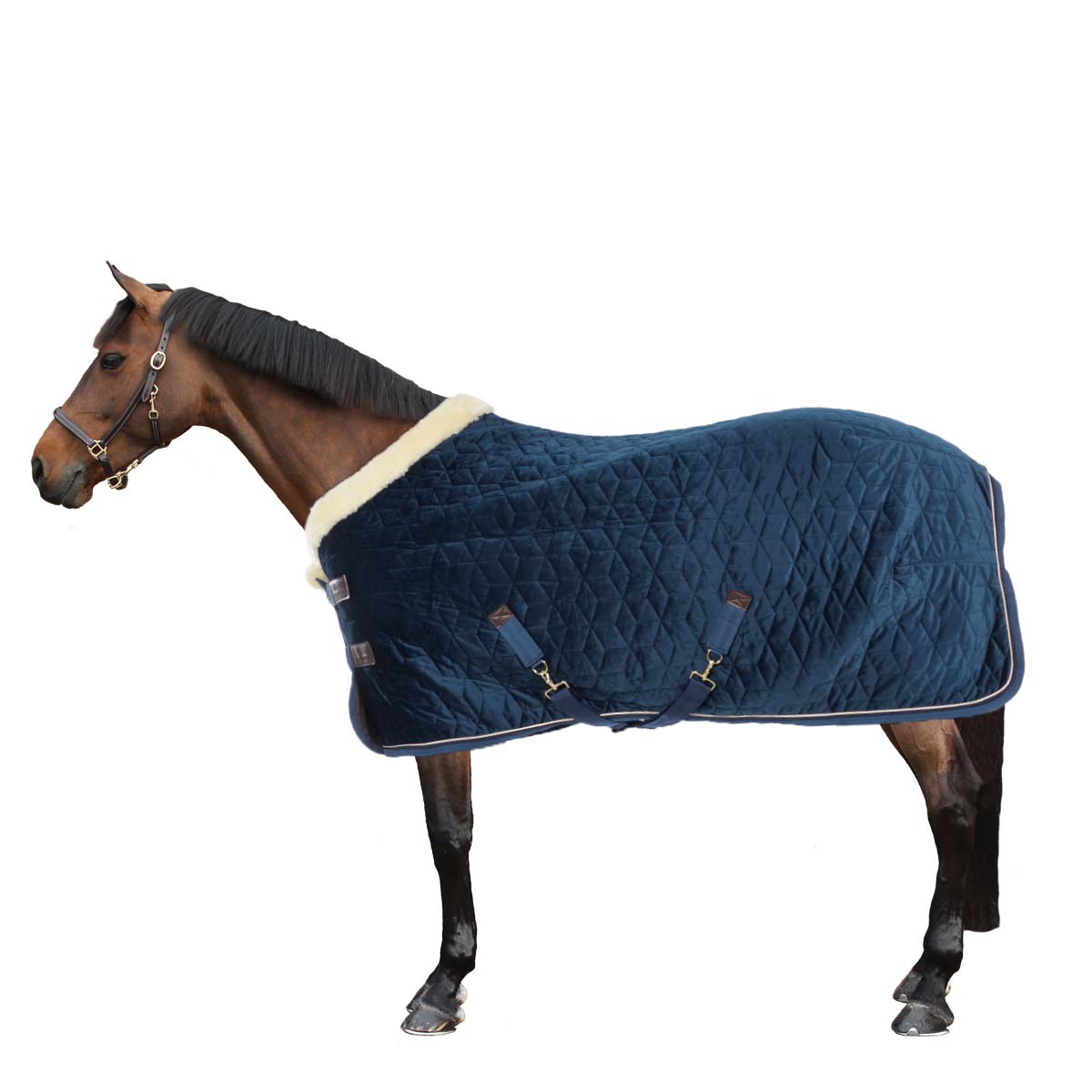 Kentucky Showdeken Velvet 160g Navy