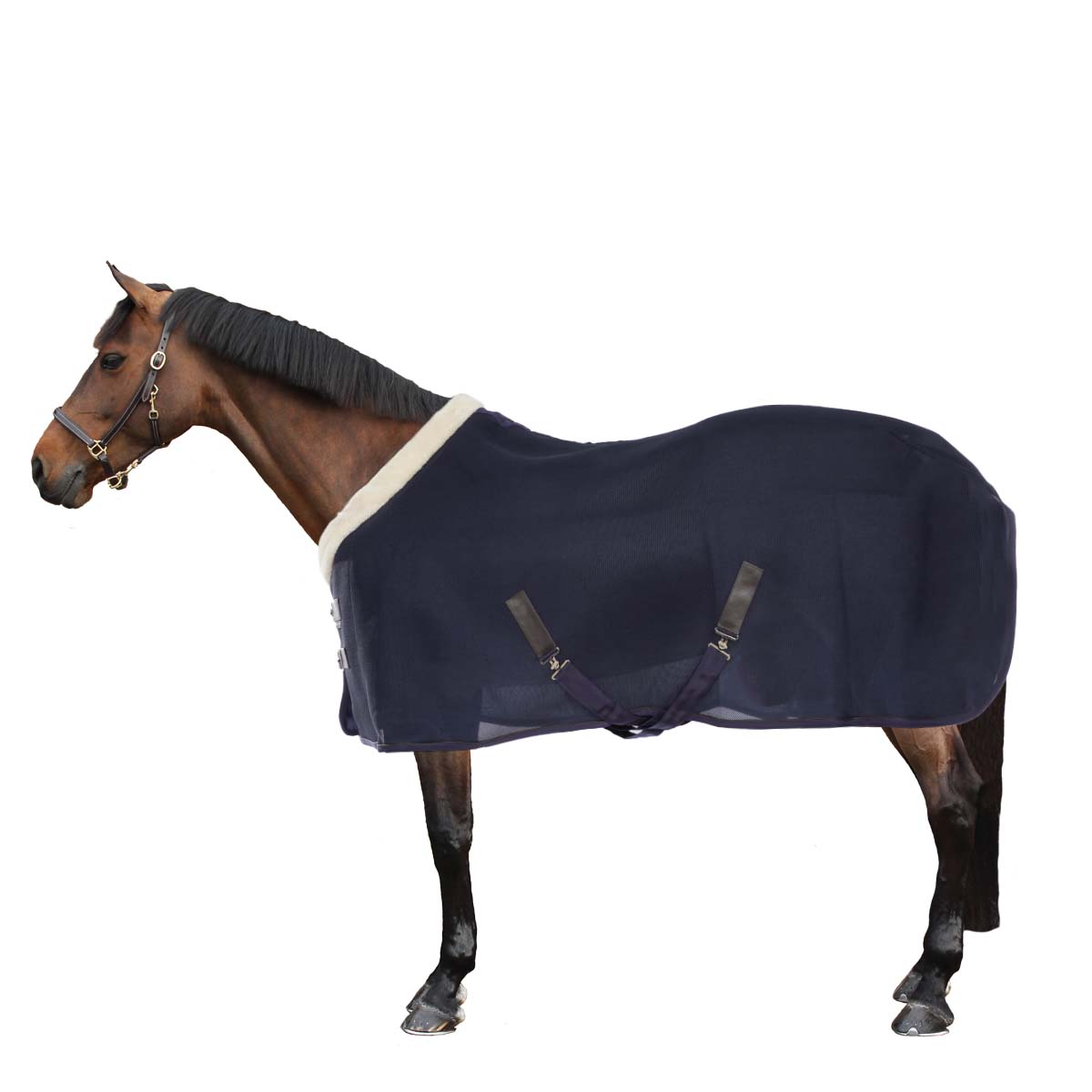 EQUITHÈME Deken Teddy Mesh Navy