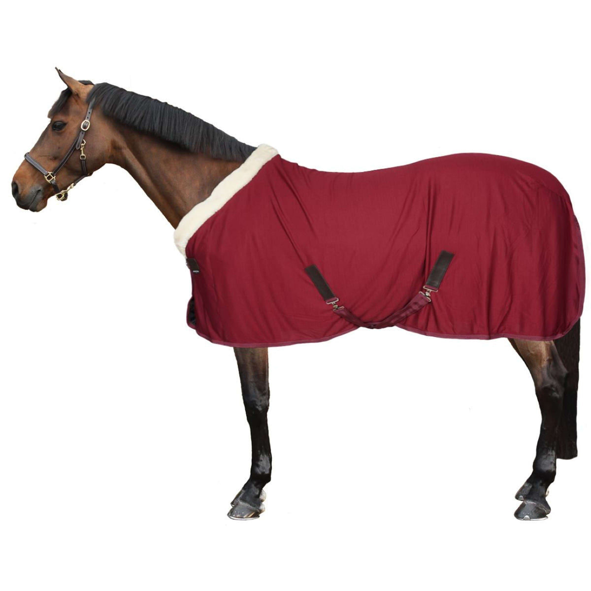 EQUITHÈME Cooler Teddy Bordeaux/Gebroken Wit