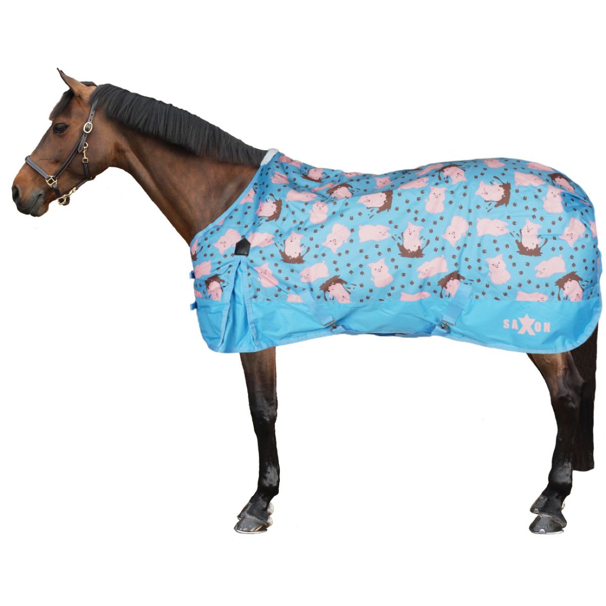 Saxon Winterdeken Standard Neck Medium 600D Pony Pig Print