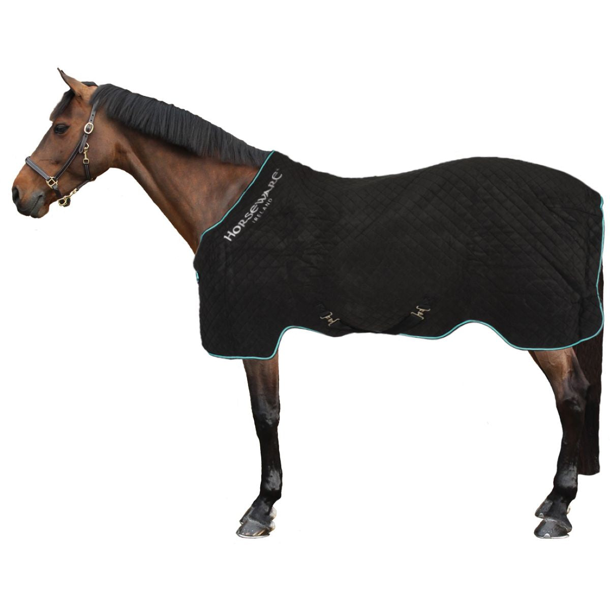 Horseware Cooler Autumn Zwart/Aqua