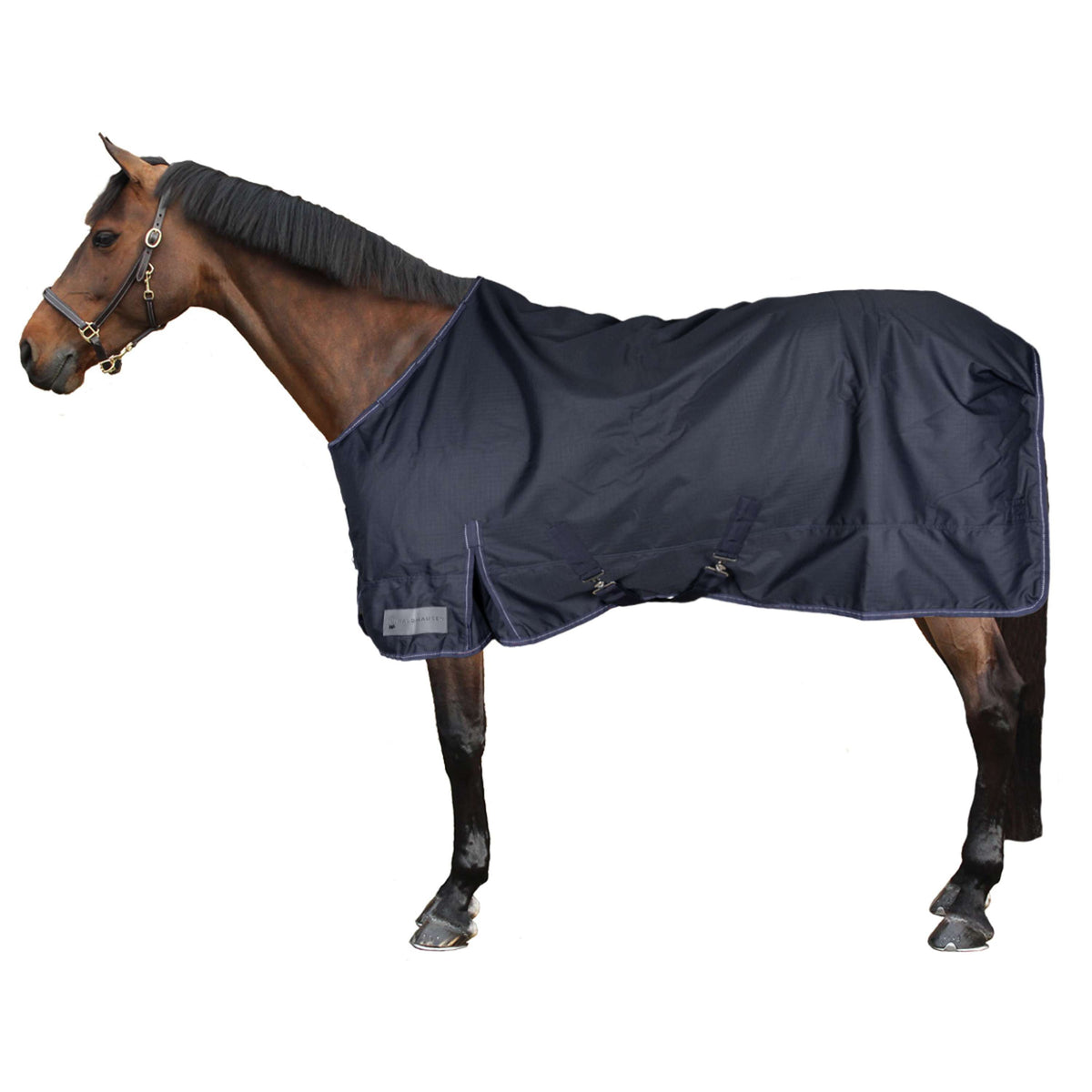 Waldhausen Outdoordeken Nordic 300g Nachtblauw