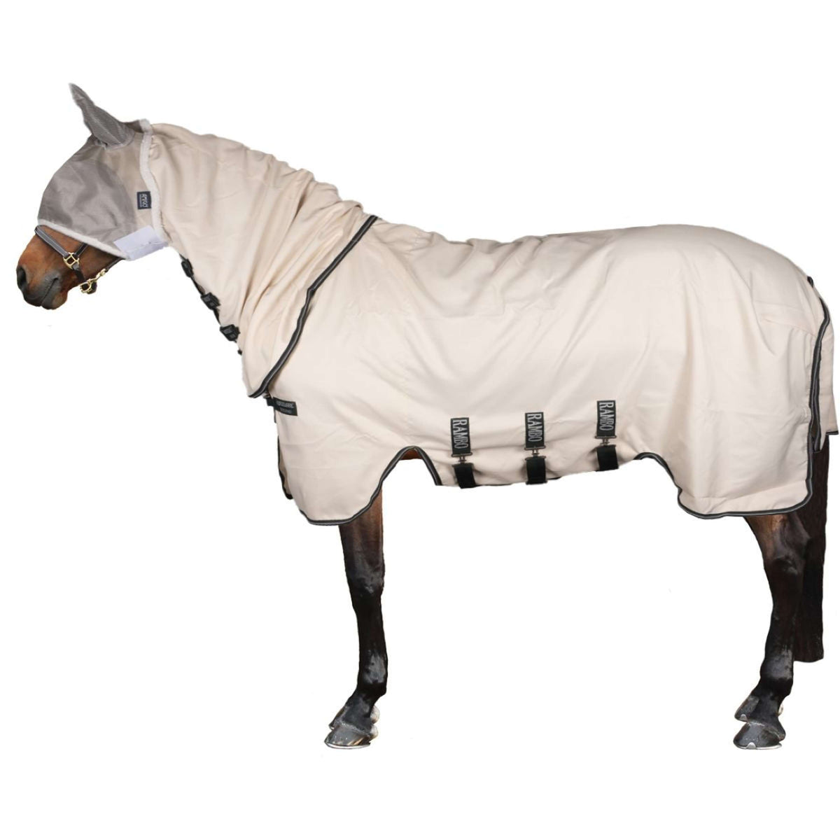 Rambo Hoody Chalk/Hunter Green/Silver