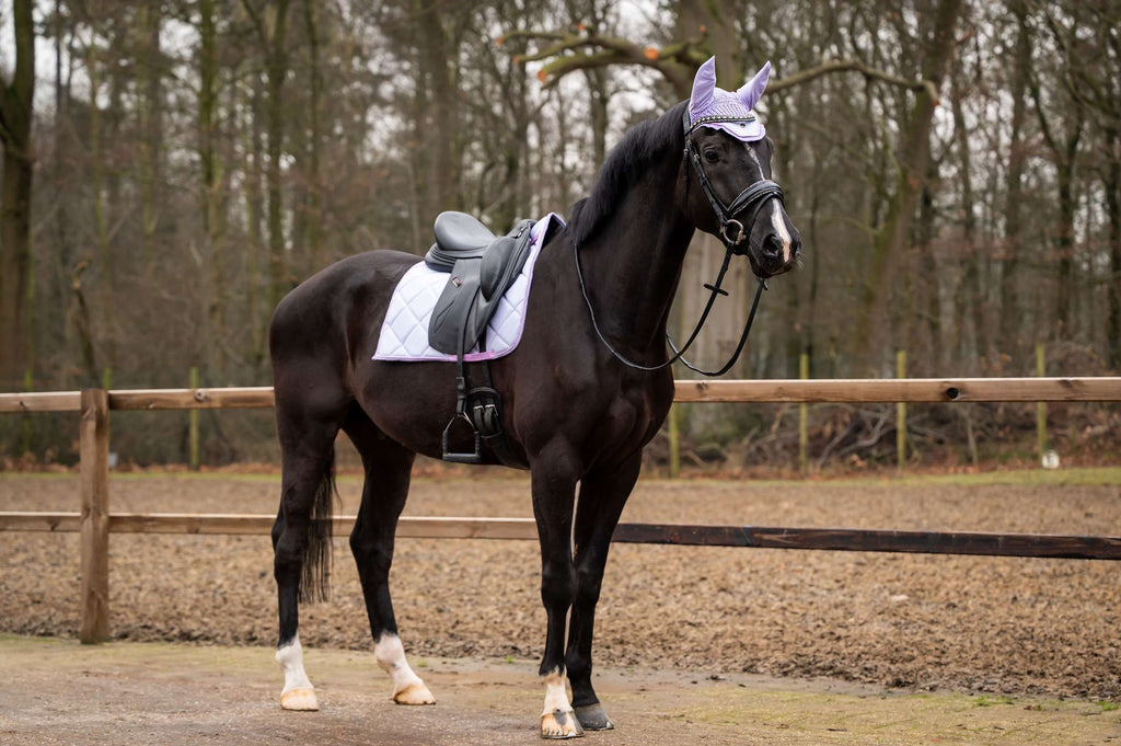 HB Showtime Zadeldekje Spring Dressuur Lichtpaars