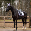 HB Showtime Zadeldekje Spring Dressuur Lichtpaars
