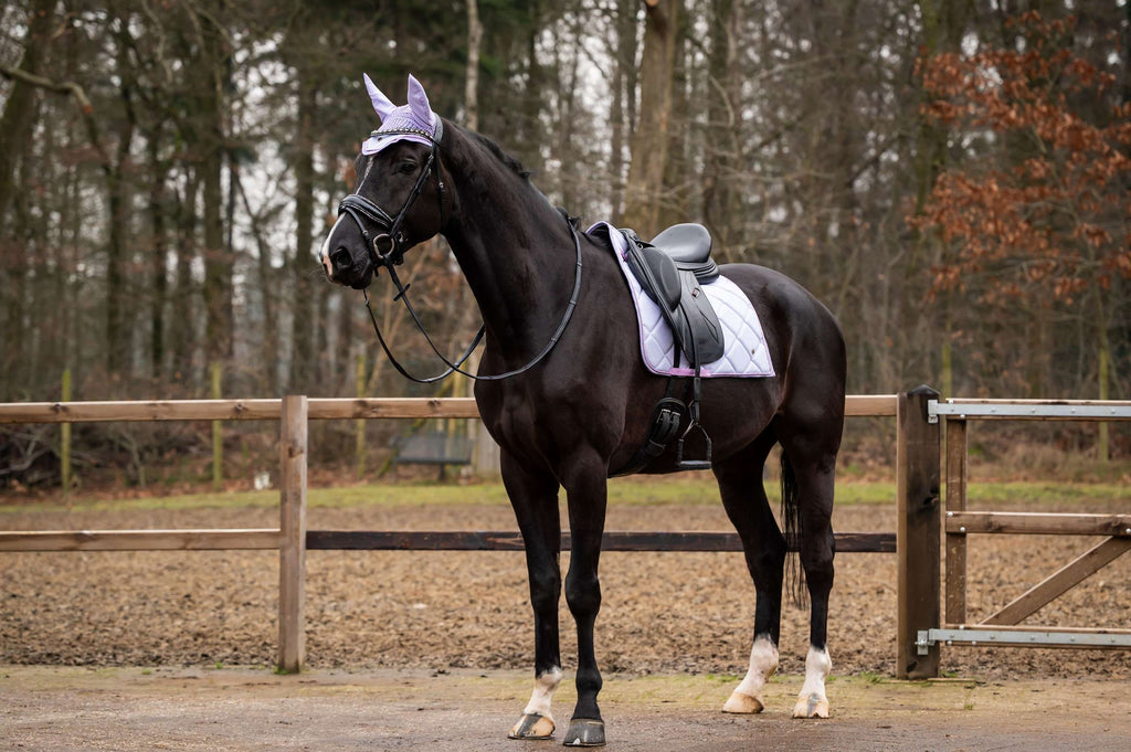 HB Showtime Zadeldekje Spring Dressuur Lichtpaars