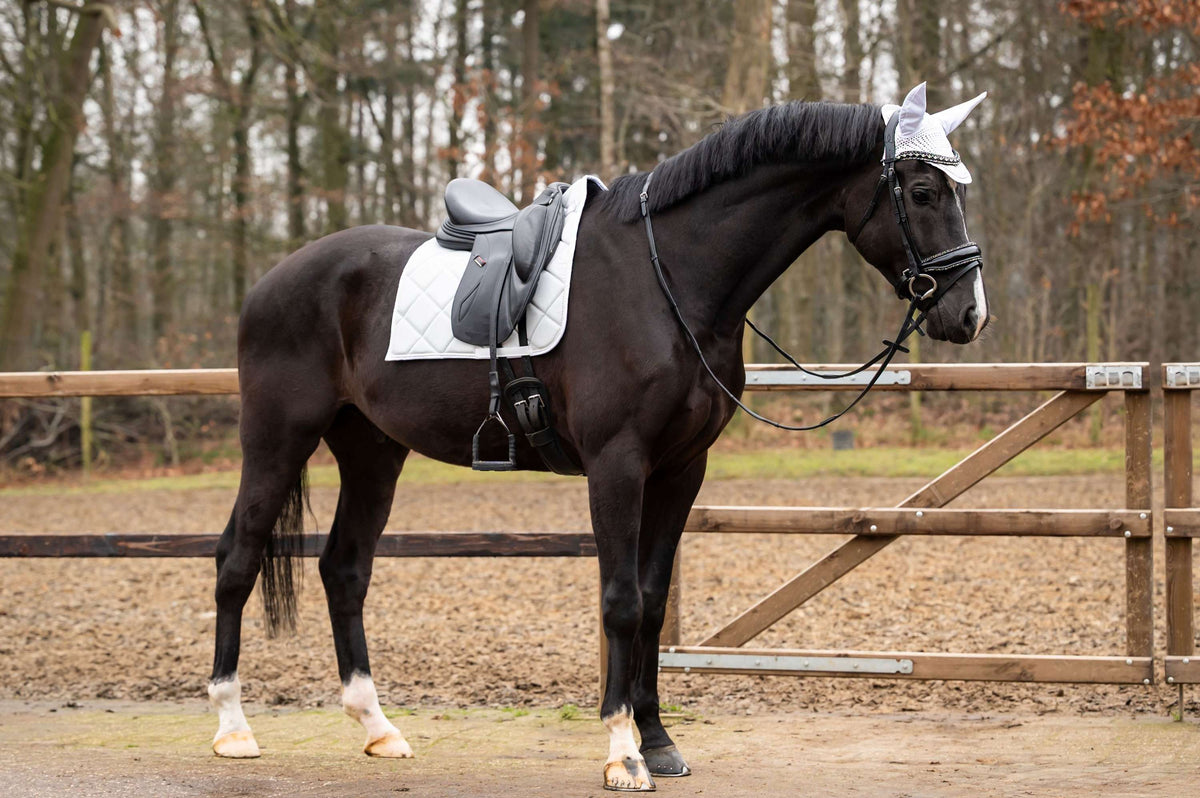 HB Showtime Zadeldekje Spring Dressuur Zilver